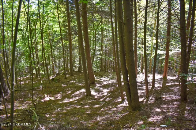 $76,900 | 112 Carriage Knoll Road, Chestertown, NY 12817