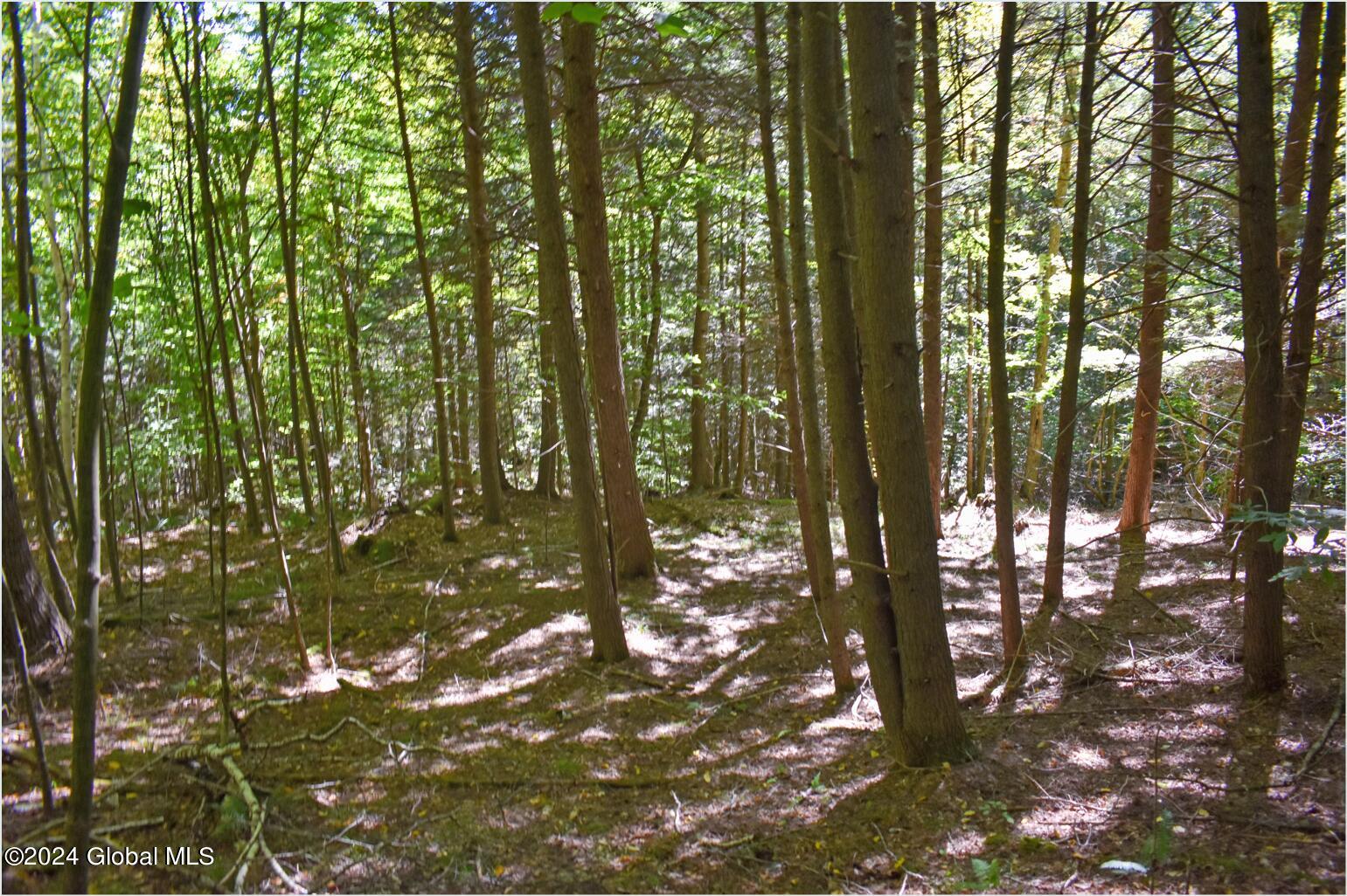 112 Carriage Knoll Road Chestertown, NY 12817 - Photo 13 of 23 112f