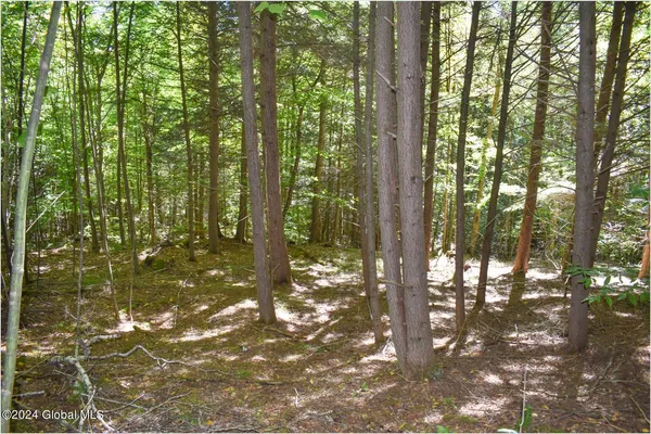 $76,900 | 112 Carriage Knoll Road, Chestertown, NY 12817