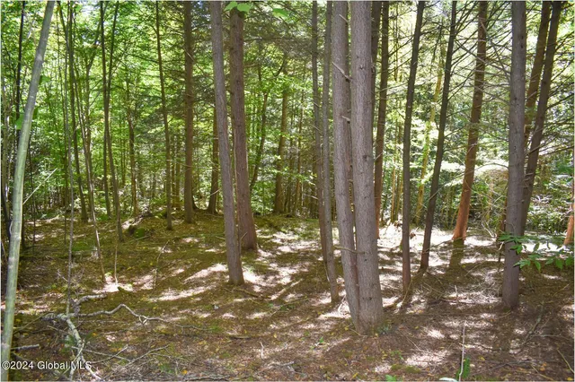 $76,900 | 112 Carriage Knoll Road, Chestertown, NY 12817