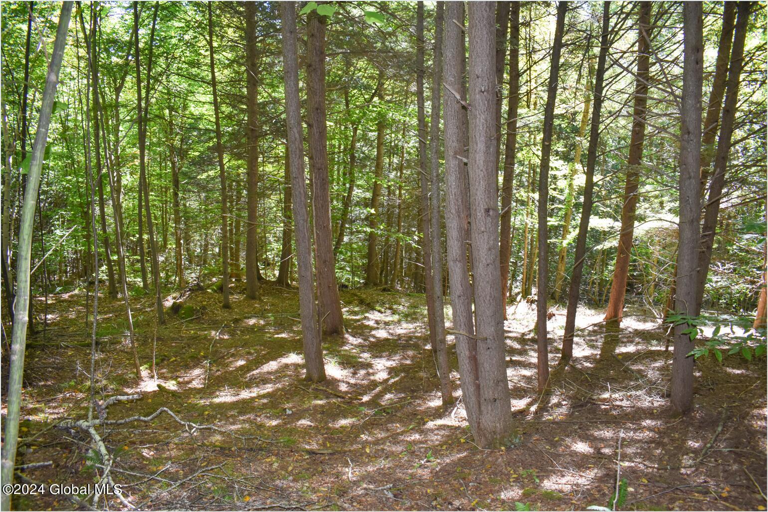 112 Carriage Knoll Road Chestertown, NY 12817 - Photo 14 of 23 112g