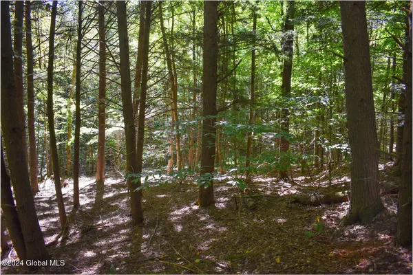$76,900 | 112 Carriage Knoll Road, Chestertown, NY 12817