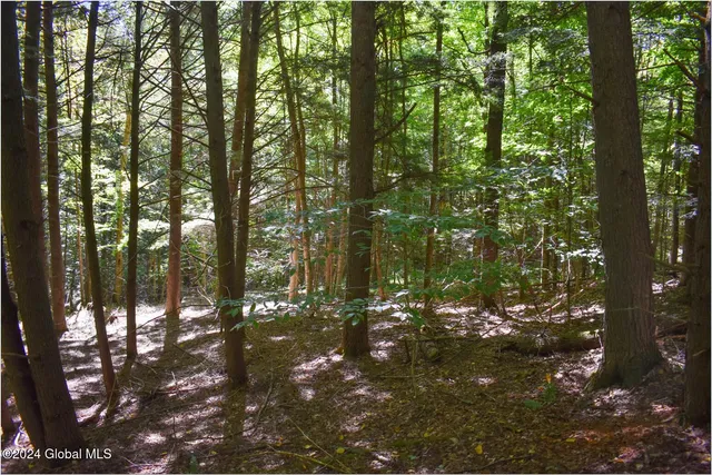 $76,900 | 112 Carriage Knoll Road, Chestertown, NY 12817