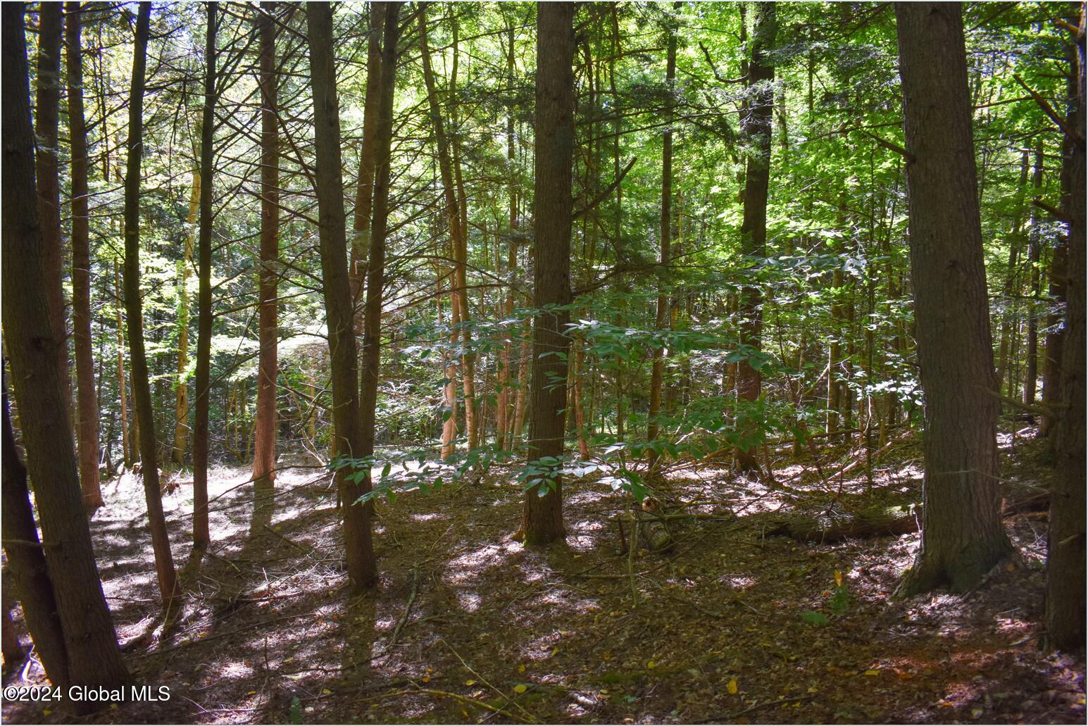 112 Carriage Knoll Road Chestertown, NY 12817 - Photo 15 of 23 112h