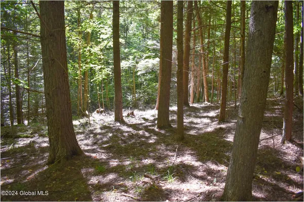 $76,900 | 112 Carriage Knoll Road, Chestertown, NY 12817