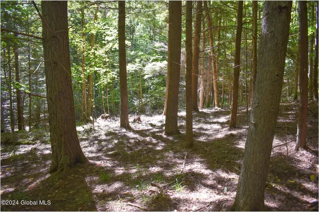 $76,900 | 112 Carriage Knoll Road, Chestertown, NY 12817