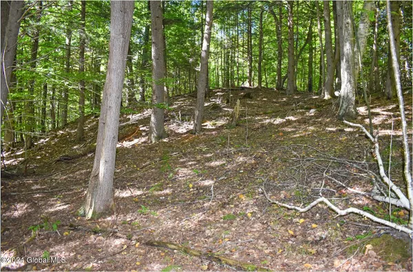 $76,900 | 112 Carriage Knoll Road, Chestertown, NY 12817