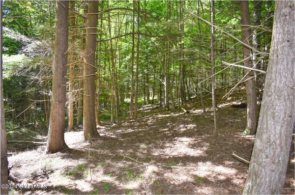 $76,900 | 112 Carriage Knoll Road, Chestertown, NY 12817