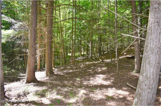 $76,900 | 112 Carriage Knoll Road, Chestertown, NY 12817