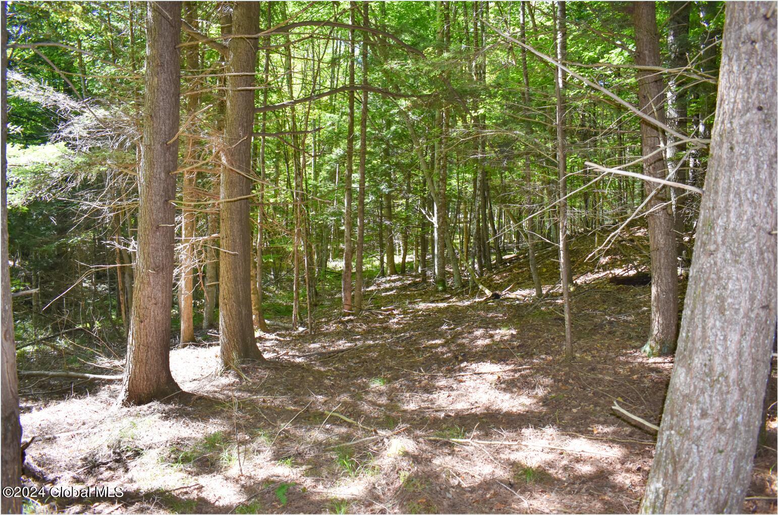 112 Carriage Knoll Road Chestertown, NY 12817 - Photo 7 of 23 112k