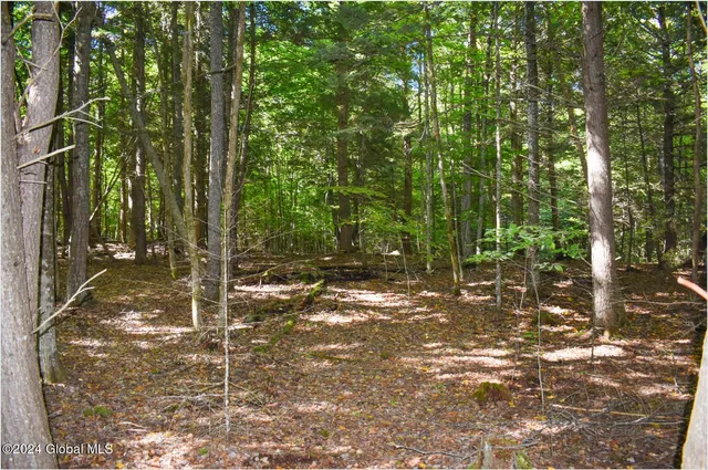 $76,900 | 112 Carriage Knoll Road, Chestertown, NY 12817