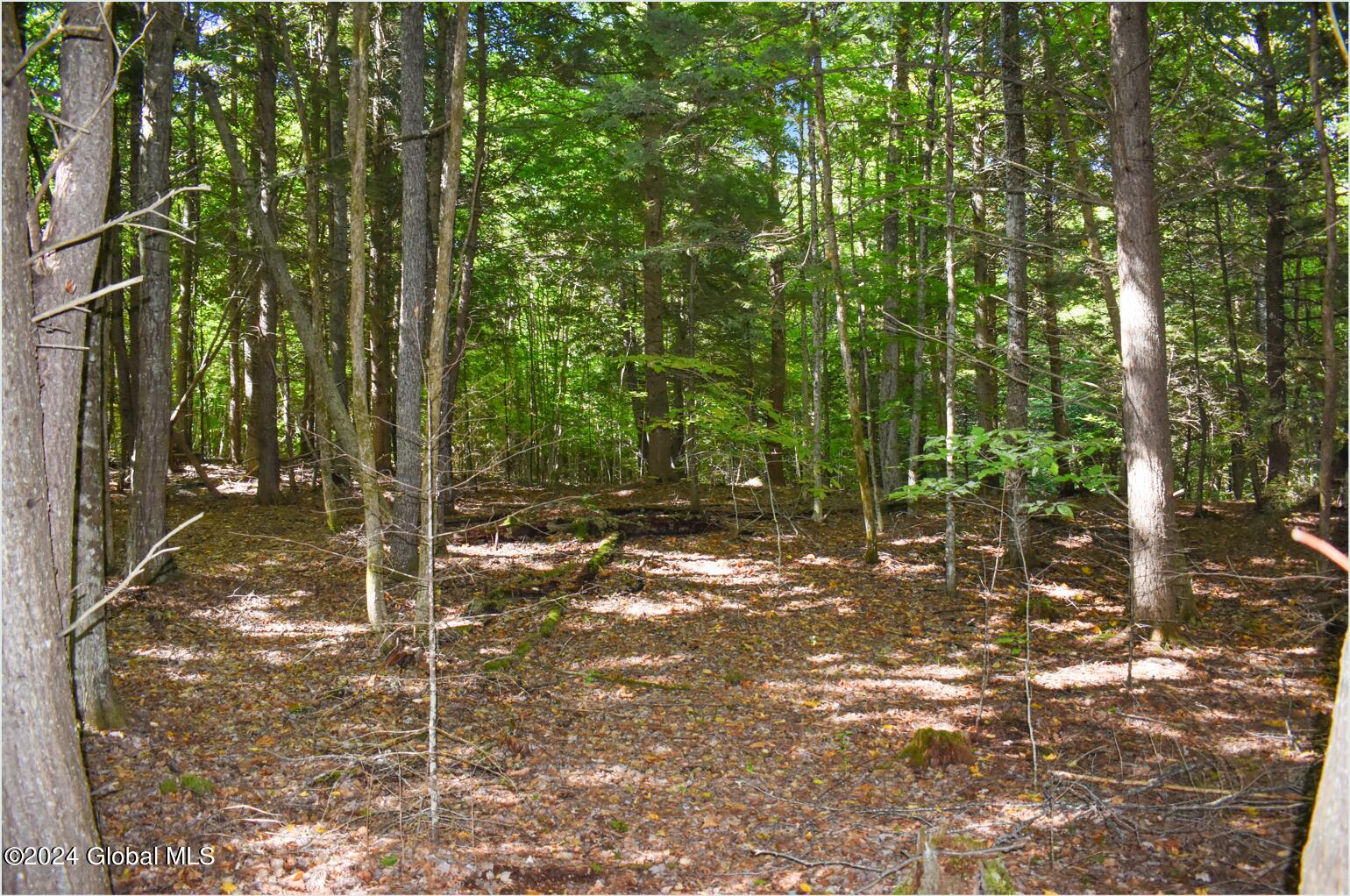 112 Carriage Knoll Road Chestertown, NY 12817 - Photo 8 of 23 112a