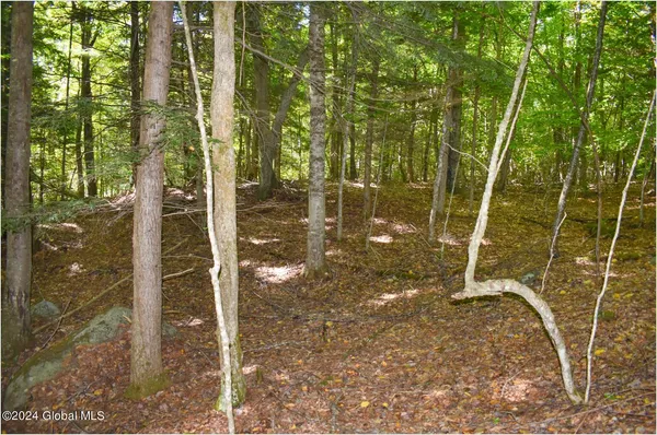 $76,900 | 112 Carriage Knoll Road, Chestertown, NY 12817