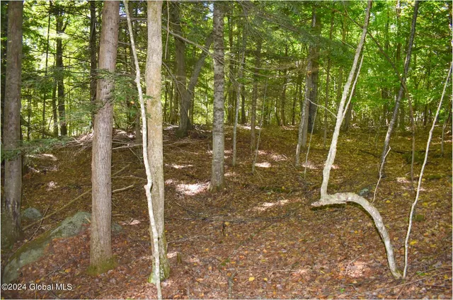 $76,900 | 112 Carriage Knoll Road, Chestertown, NY 12817