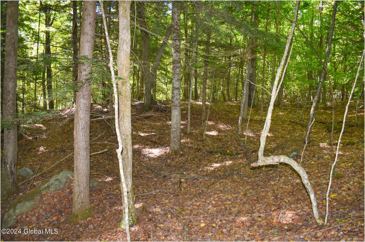 112 Carriage Knoll Road Chestertown, NY 12817 - Photo 9 of 23 112c