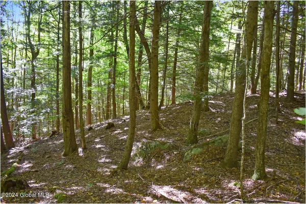 $76,900 | 112 Carriage Knoll Road, Chestertown, NY 12817