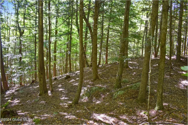 $76,900 | 112 Carriage Knoll Road, Chestertown, NY 12817