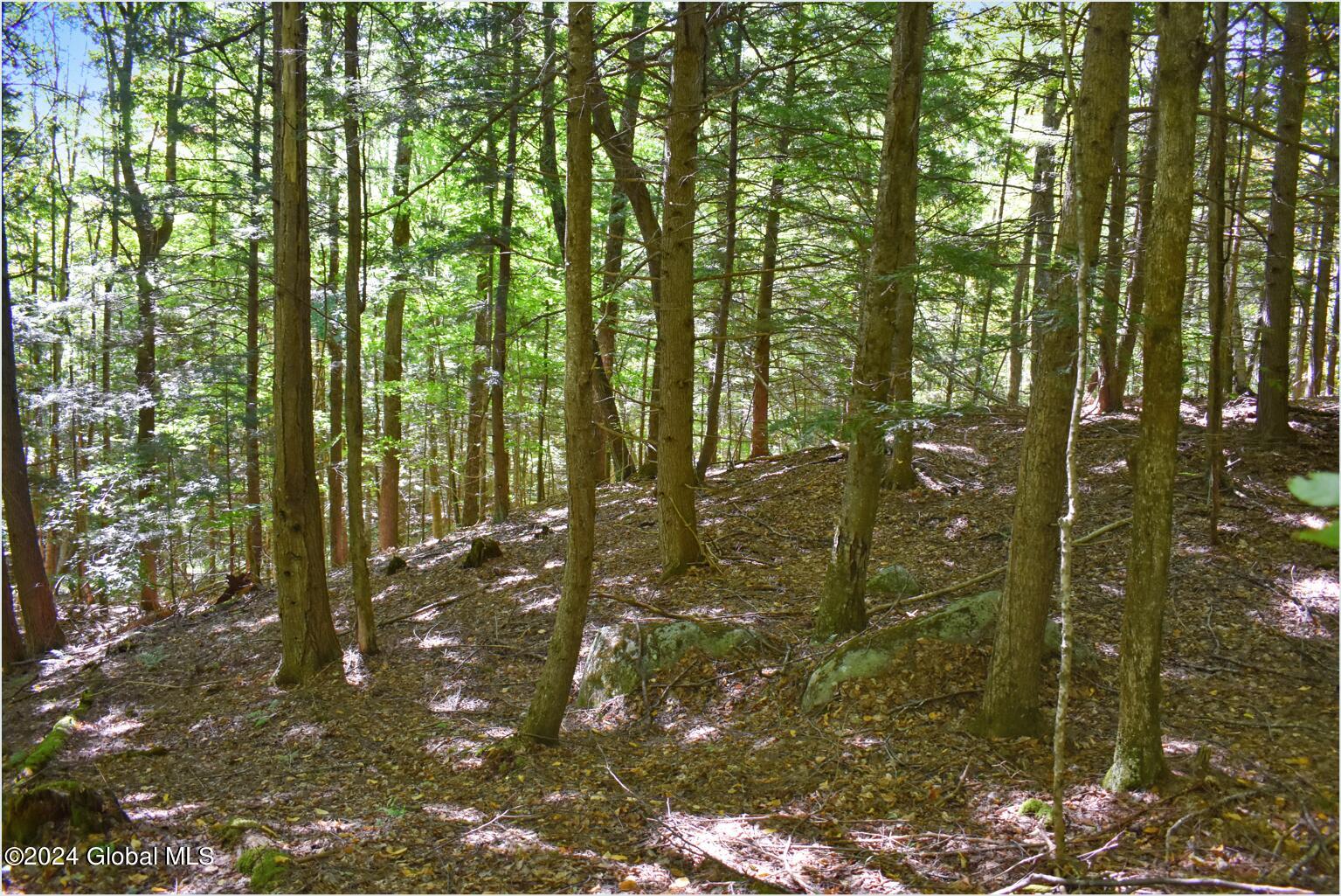 112 Carriage Knoll Road Chestertown, NY 12817 - Photo 10 of 23 112b