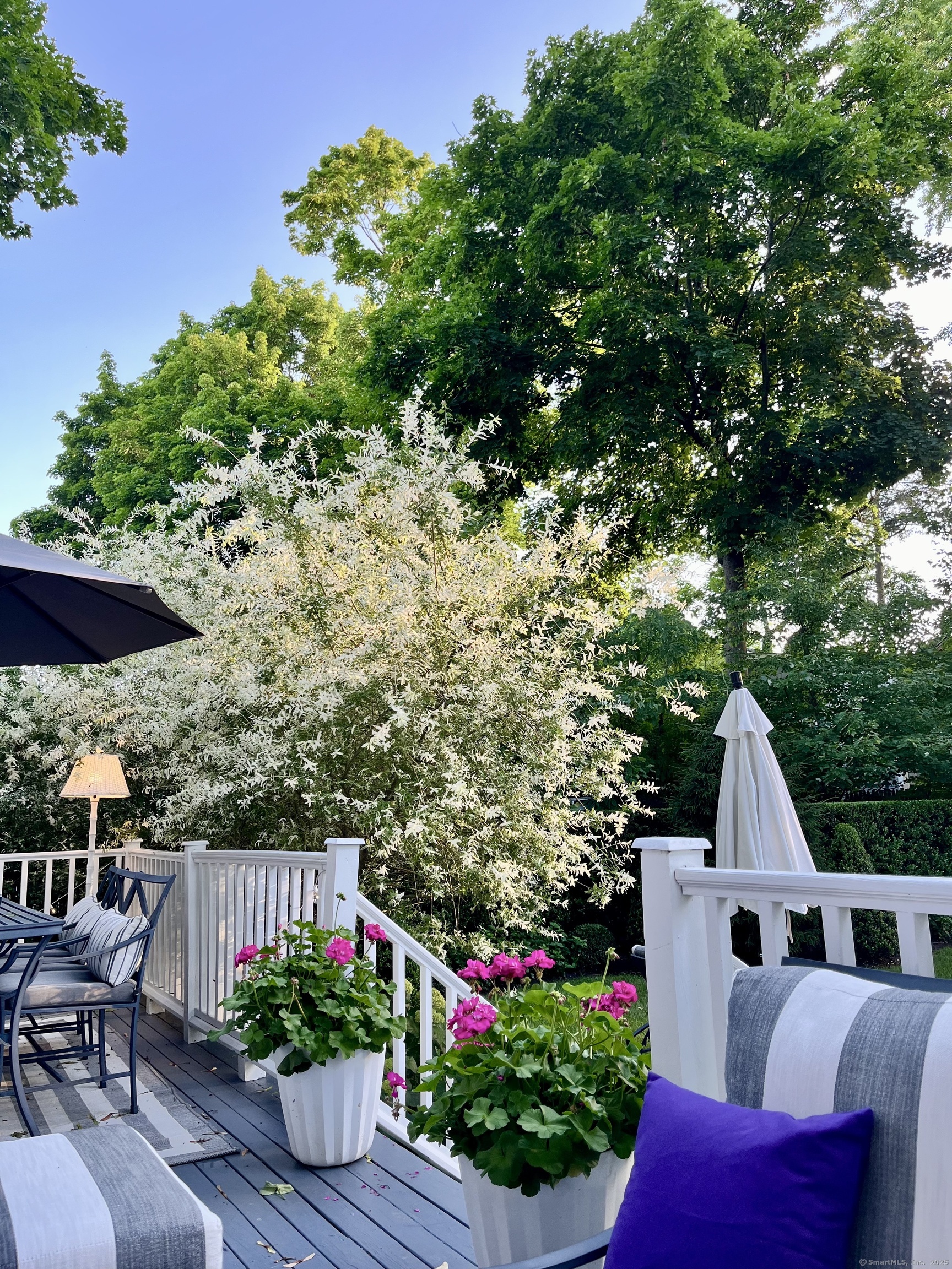 233 Rowayton Avenue Norwalk, CT 06853 - Photo 31 of 33 a garden view with a seating space