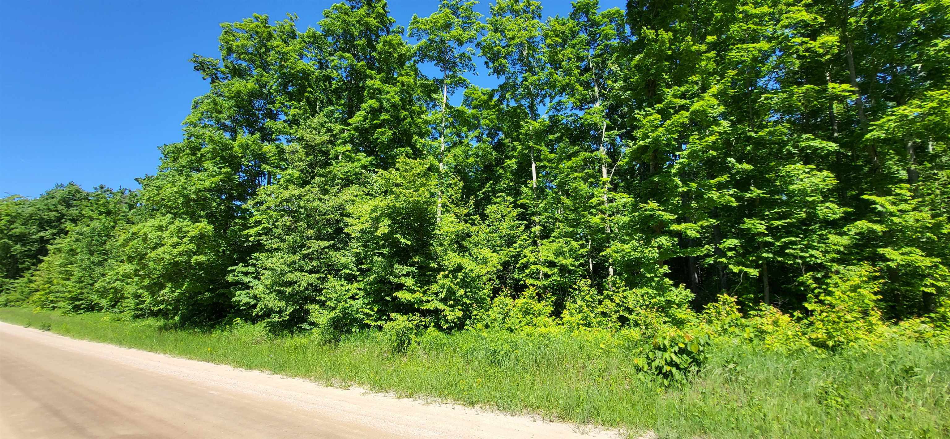 Tbd Bocook Road Mancelona, MI 49659 - Photo 18 of 46