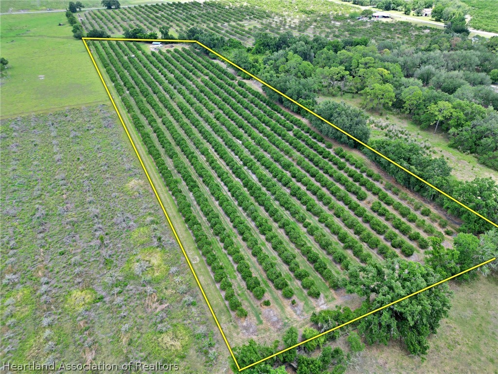 Rhynn Road Wauchula, FL 33873 - Photo 9 of 11