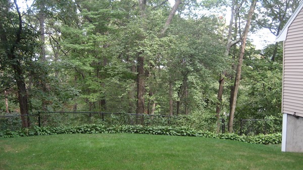 36 Edwardel Road Needham, MA 02492 - Photo 2 of 18 a view of outdoor space and yard