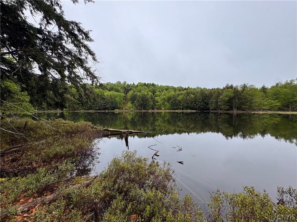 0 Hawkinsville Road Woodgate, NY 13494 - Photo 20 of 27