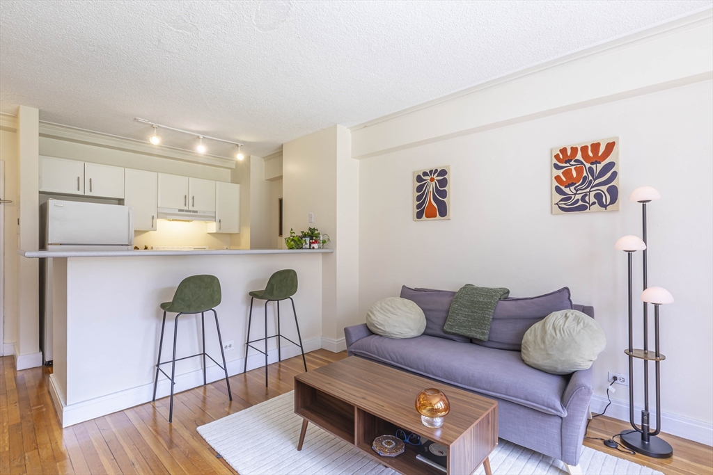 534 Beacon Street, Unit 301 Boston, MA 02215 - Photo 6 of 14