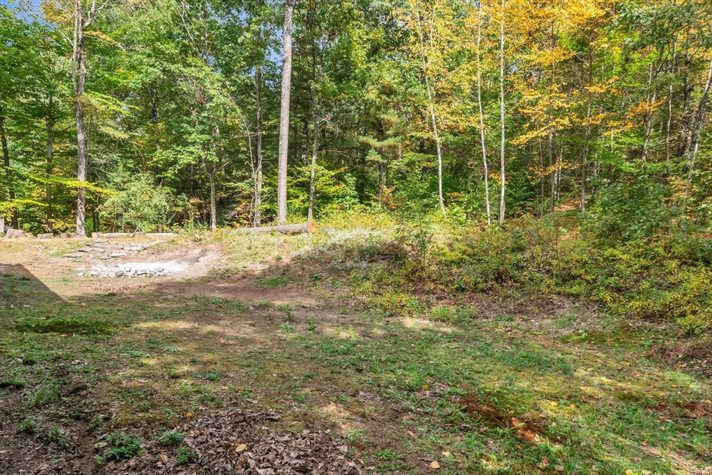 52 Warren Wright Road Belchertown, MA 01007 - Photo 37 of 41 a view of a yard with plants and large trees