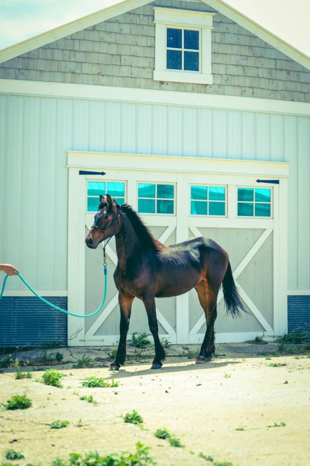 15151 304th Street Spring Valley, MN 55975 - Photo 61 of 80