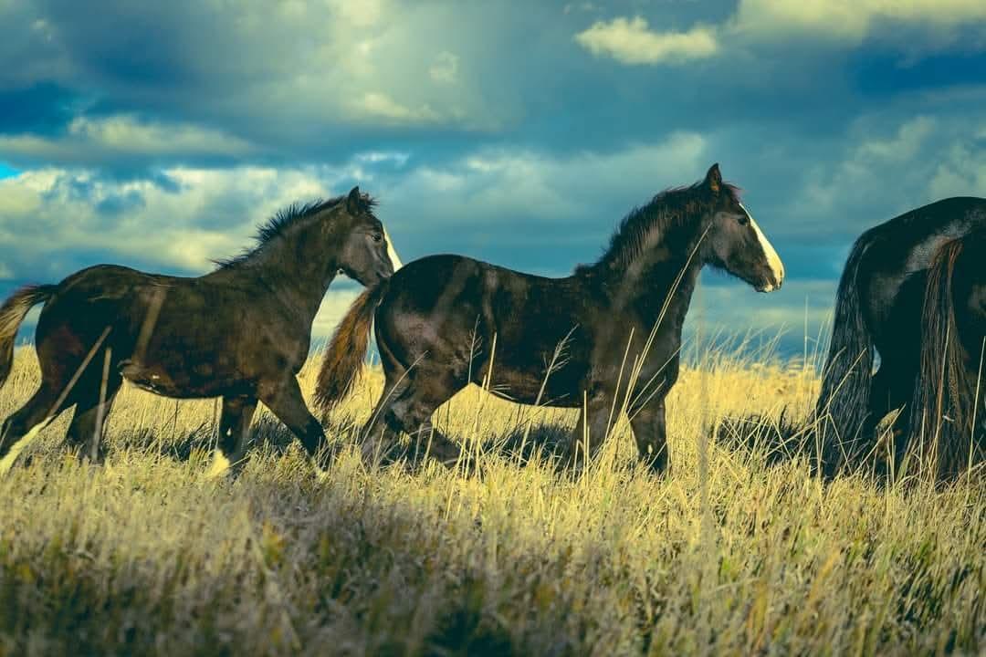 15151 304th Street Spring Valley, MN 55975 - Photo 63 of 80