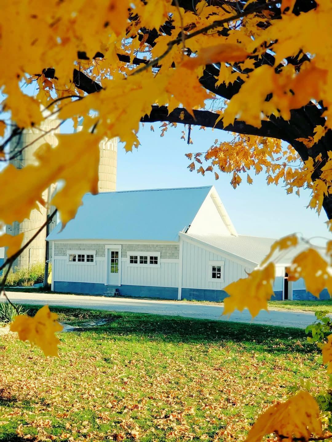 15151 304th Street Spring Valley, MN 55975 - Photo 65 of 80