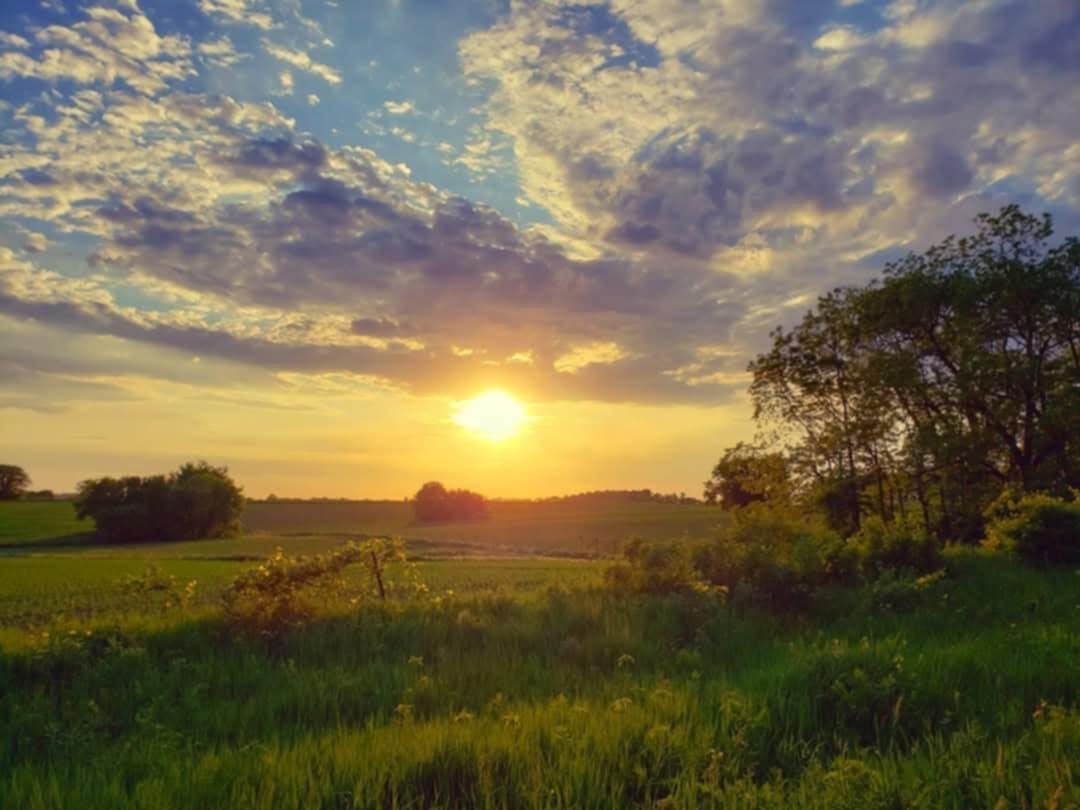 15151 304th Street Spring Valley, MN 55975 - Photo 66 of 80