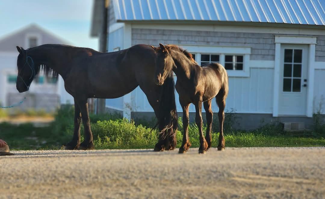 15151 304th Street Spring Valley, MN 55975 - Photo 67 of 80