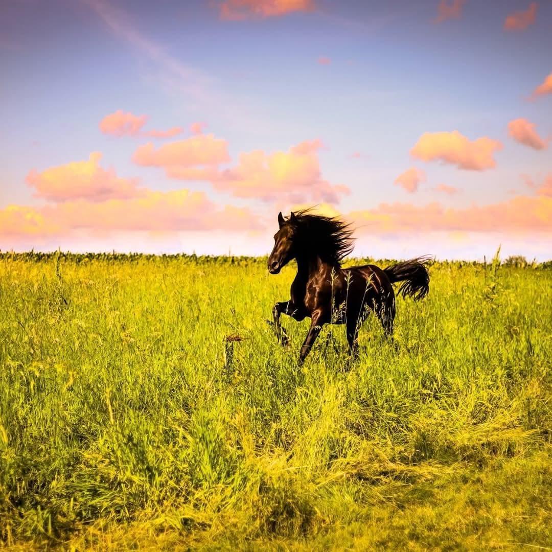 15151 304th Street Spring Valley, MN 55975 - Photo 68 of 80