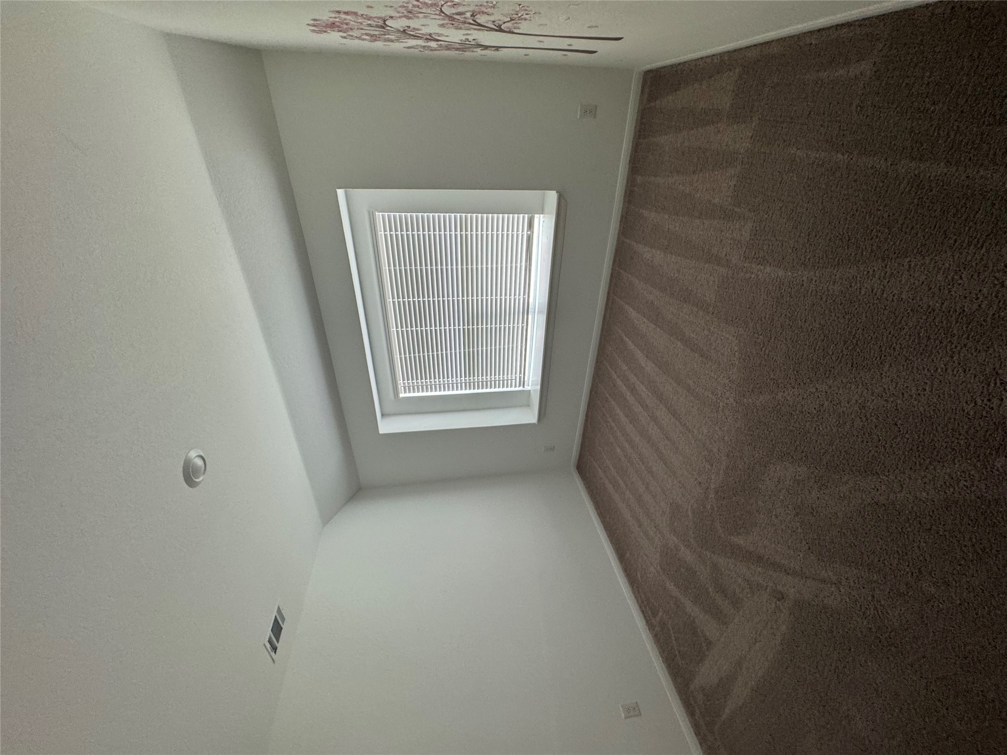 8920 Luciano Ridge Seguin, TX 78155 - Photo 20 of 23