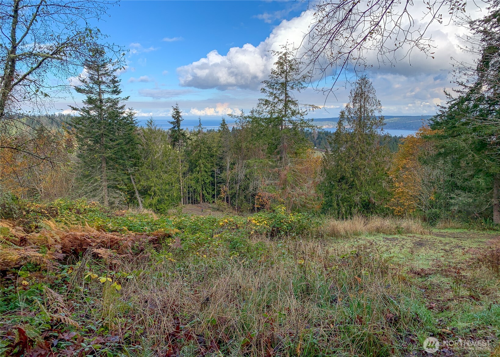 495 Louella Road Sequim, WA 98382 - Photo 12 of 35