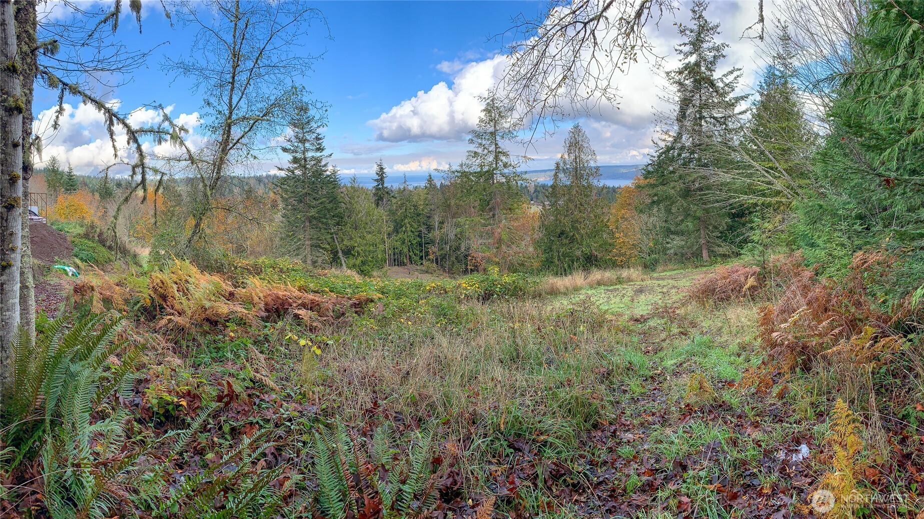 495 Louella Road Sequim, WA 98382 - Photo 13 of 35