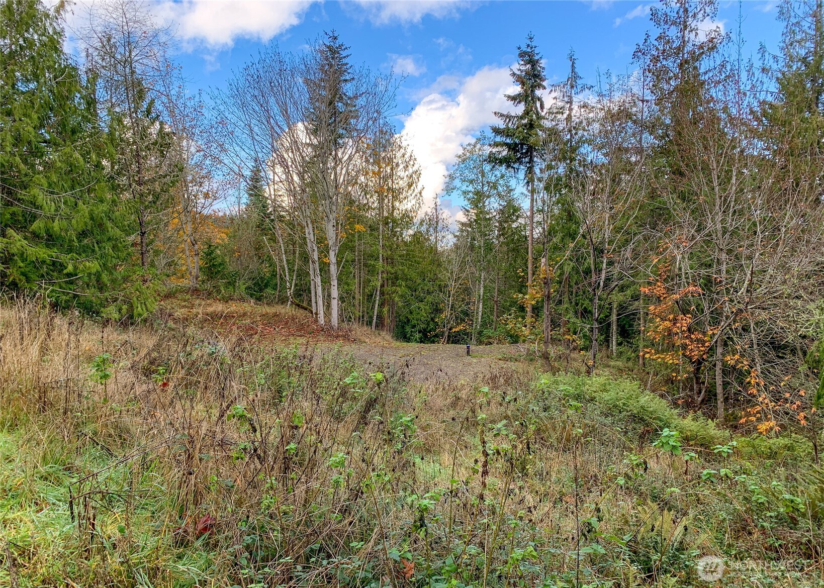 495 Louella Road Sequim, WA 98382 - Photo 20 of 35