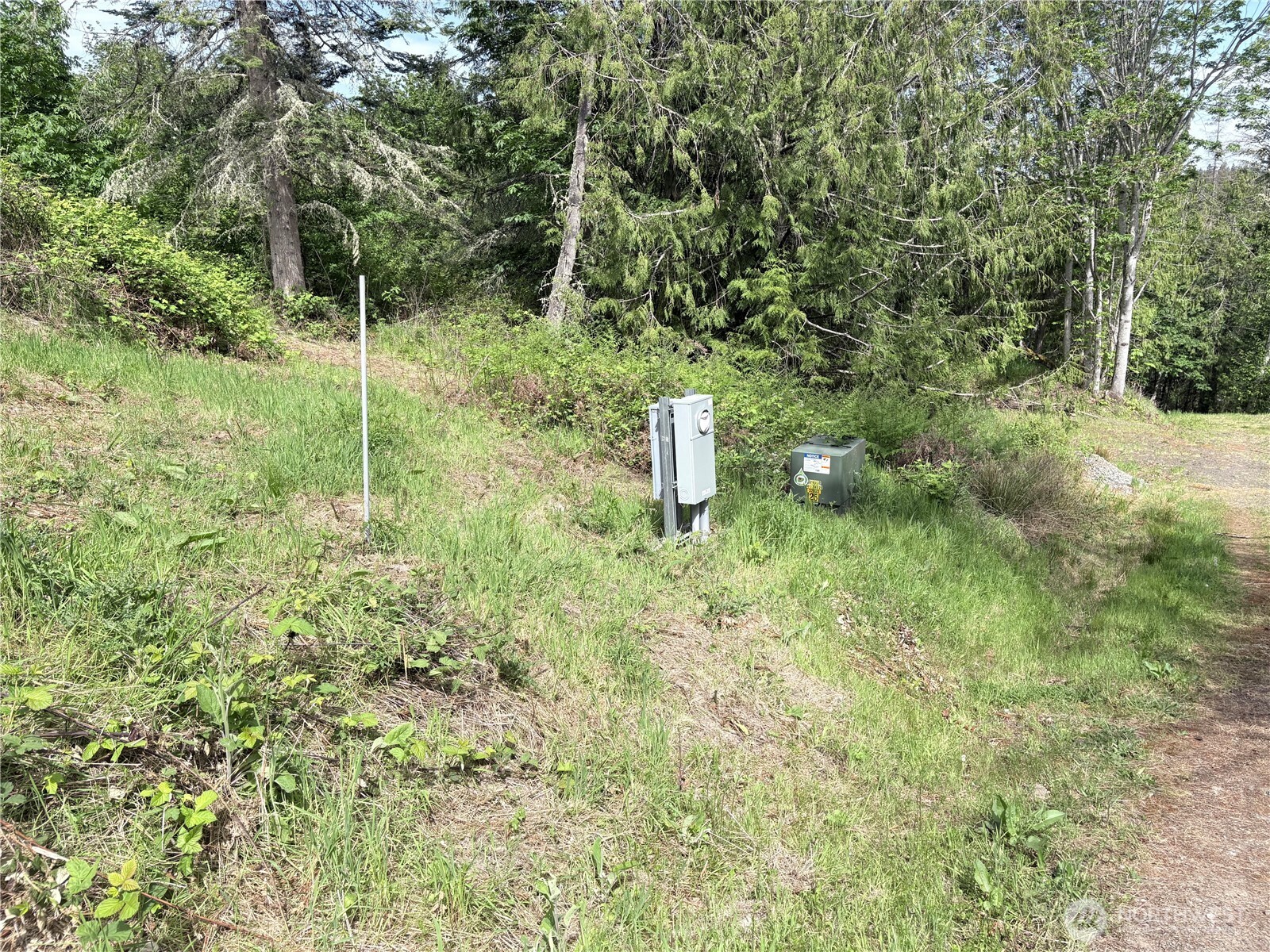 495 Louella Road Sequim, WA 98382 - Photo 2 of 39 a view of a forest with a tree