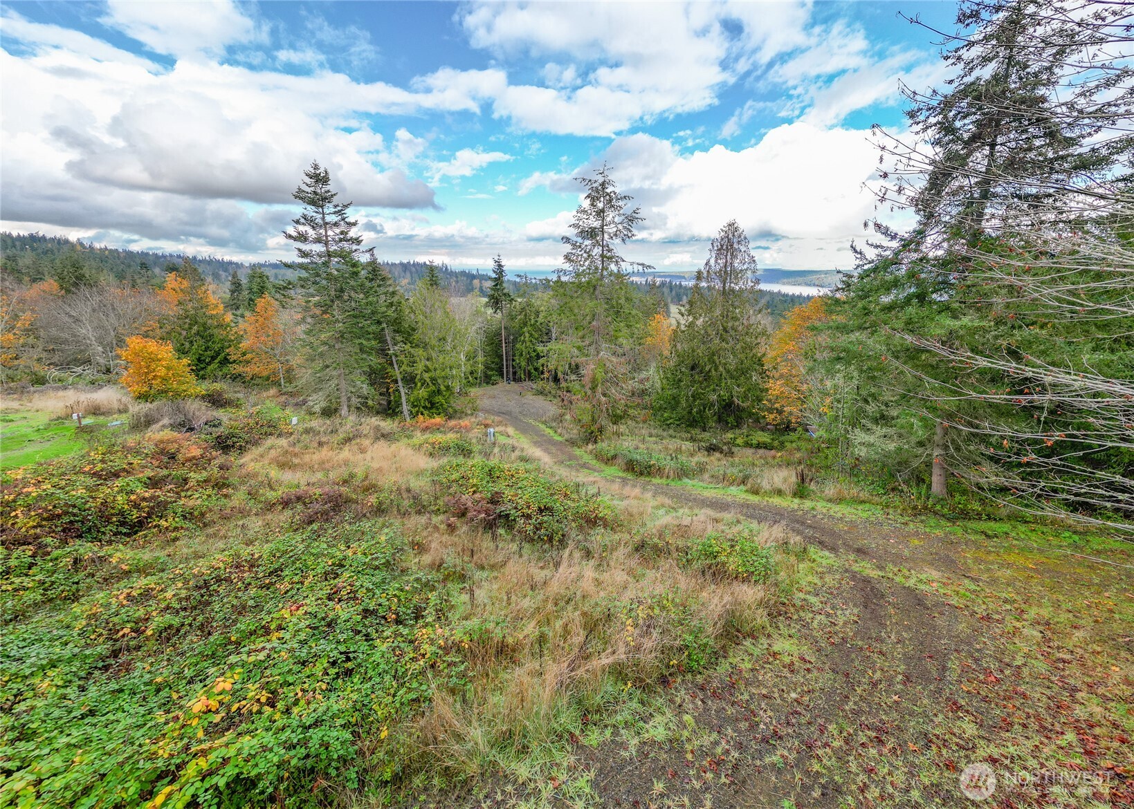 495 Louella Road Sequim, WA 98382 - Photo 2 of 35