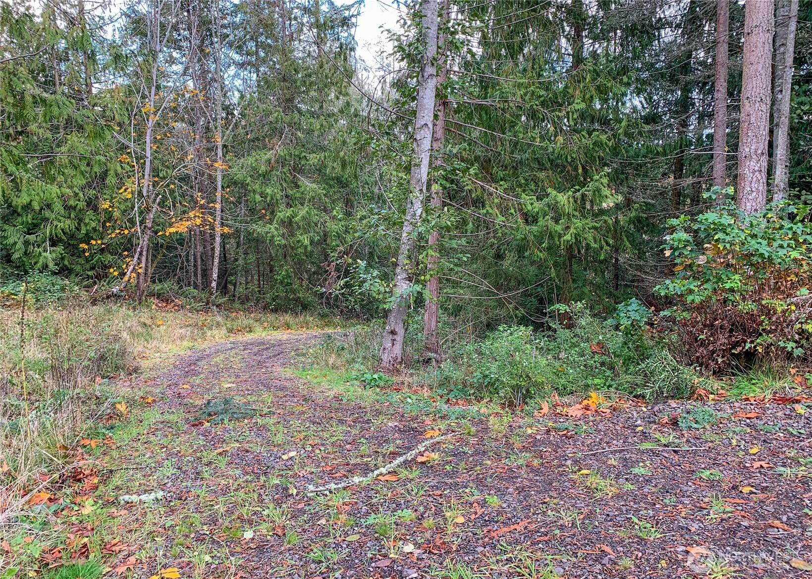 495 Louella Road Sequim, WA 98382 - Photo 24 of 35