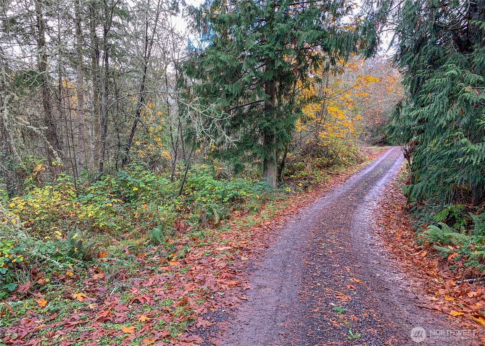 495 Louella Road Sequim, WA 98382 - Photo 27 of 35