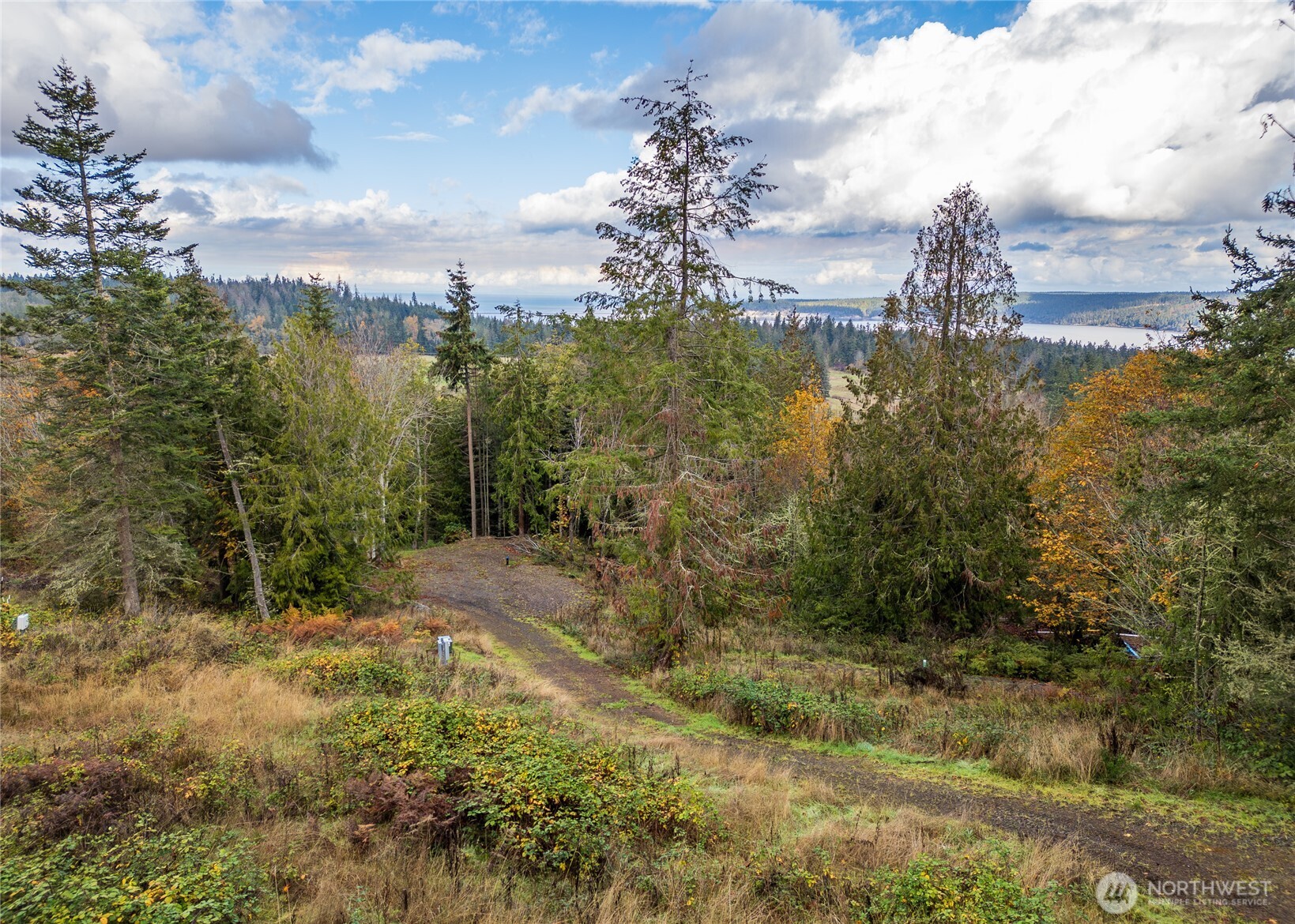 495 Louella Road Sequim, WA 98382 - Photo 3 of 35