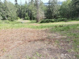495 Louella Road Sequim, WA 98382 - Photo 35 of 39 a view of outdoor space with trees all around
