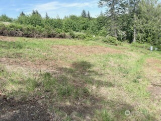 495 Louella Road Sequim, WA 98382 - Photo 36 of 39 a view of a yard with a tree