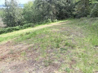 495 Louella Road Sequim, WA 98382 - Photo 37 of 39 a view of a green field with lots of bushes