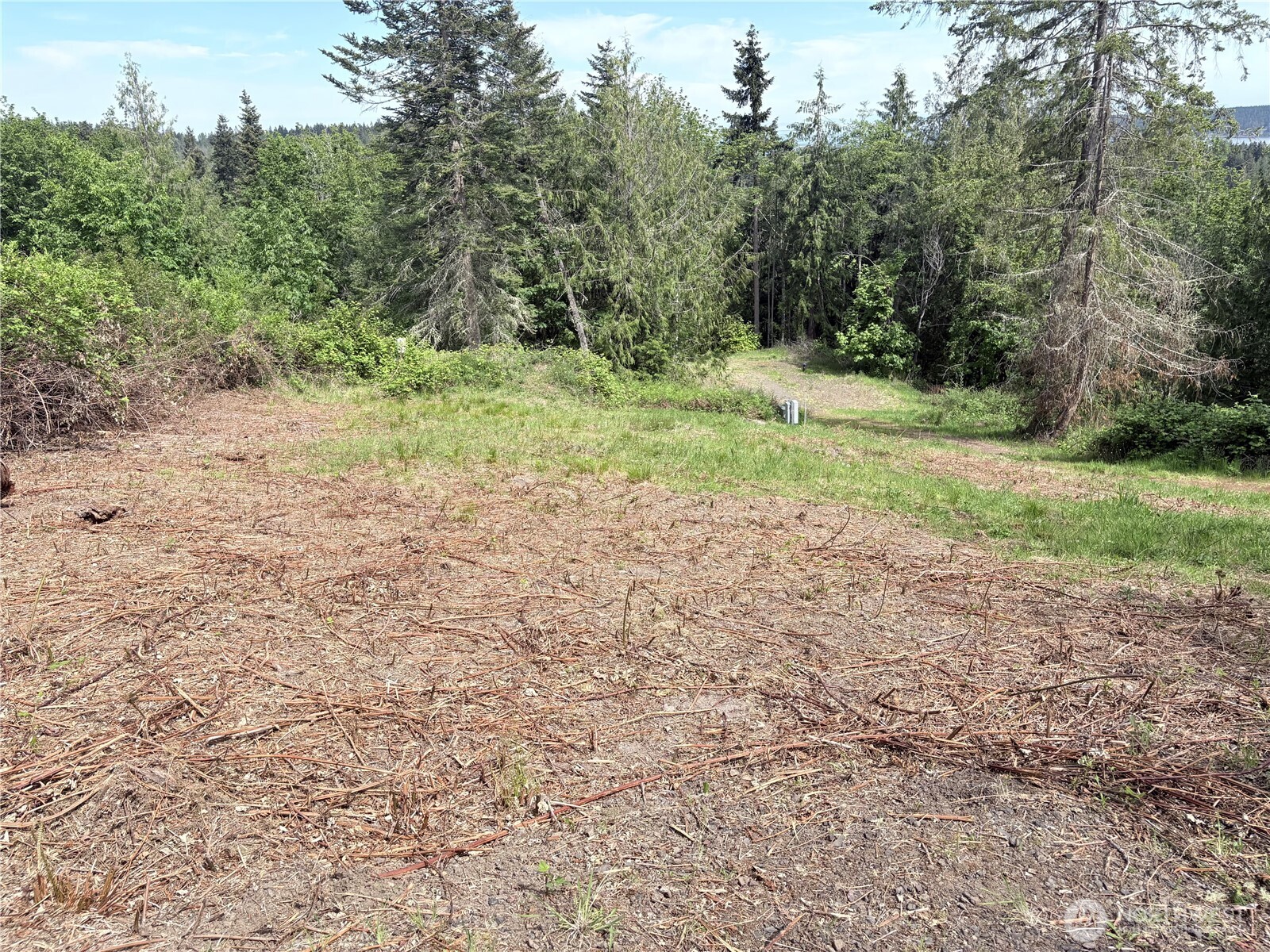 495 Louella Road Sequim, WA 98382 - Photo 38 of 39 a view of a yard with a tree