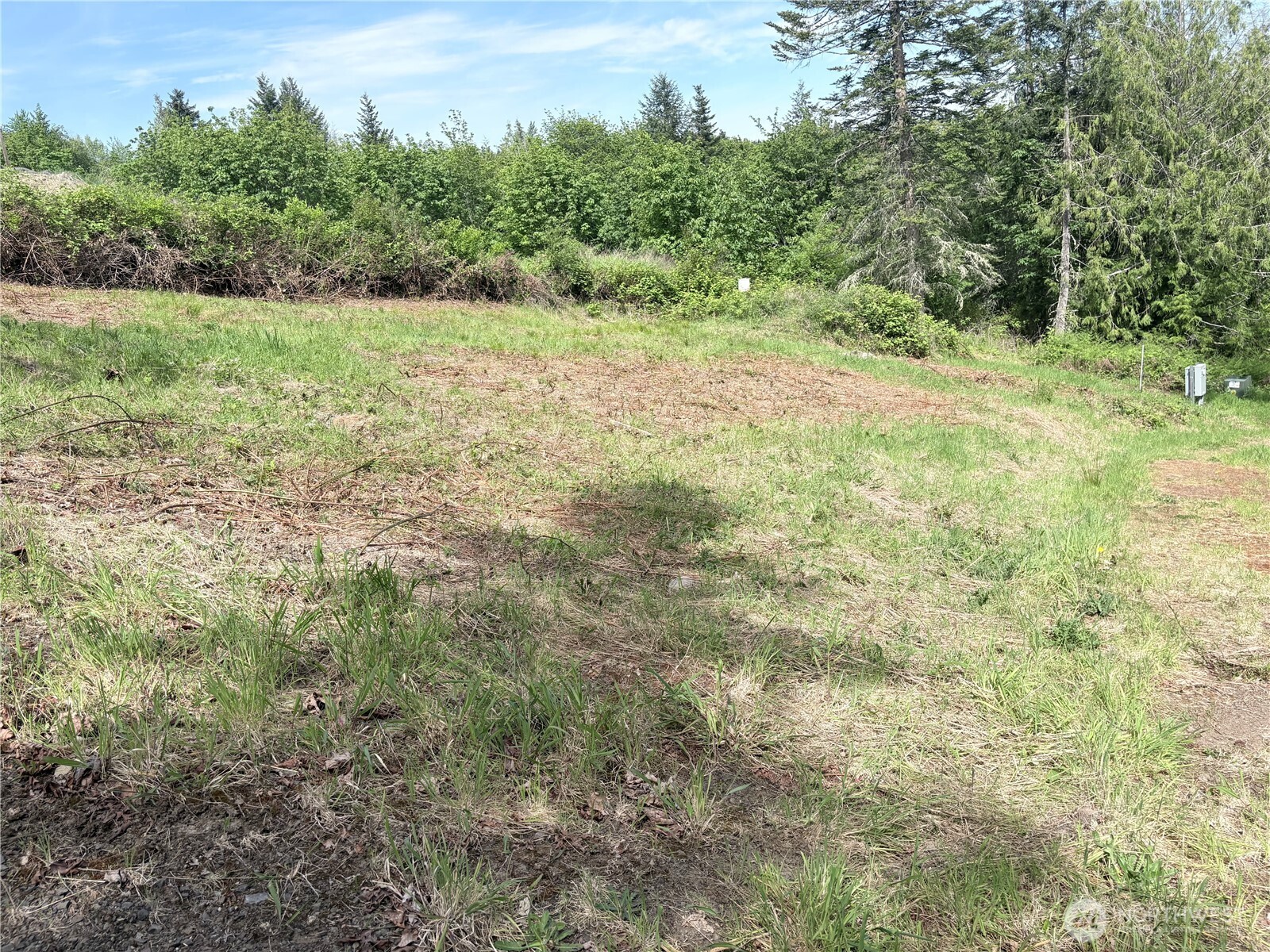 495 Louella Road Sequim, WA 98382 - Photo 4 of 39 a view of a yard with a tree