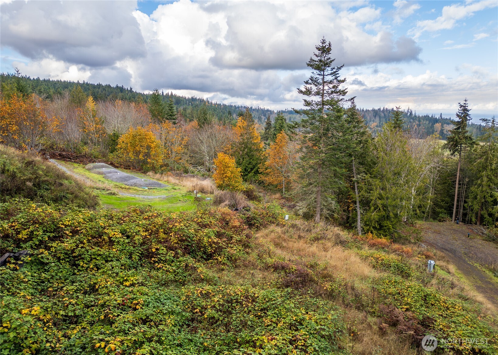 495 Louella Road Sequim, WA 98382 - Photo 4 of 35